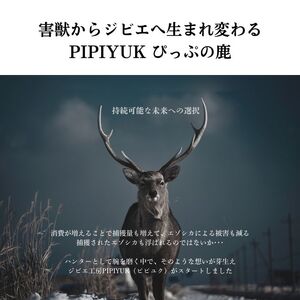 エゾ鹿肉ギフトセットB【PIPIYUK】ジビエ 鹿肉 鹿 ジャーキー 干し肉 ウインナー フランクフルト ジンギスカン ギフト セット 詰め合わせ 北海道 比布町 ぴっぷ 1023-026