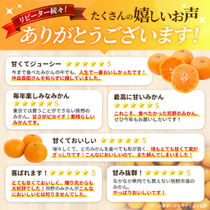 【みかん】 完熟 熊野みかん 3kg【nkmr0009】