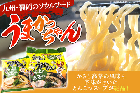 うまかっちゃん とんこつ ラーメン からし高菜風味 5食 × 6 [um40bfw220001] 豚骨ラーメン