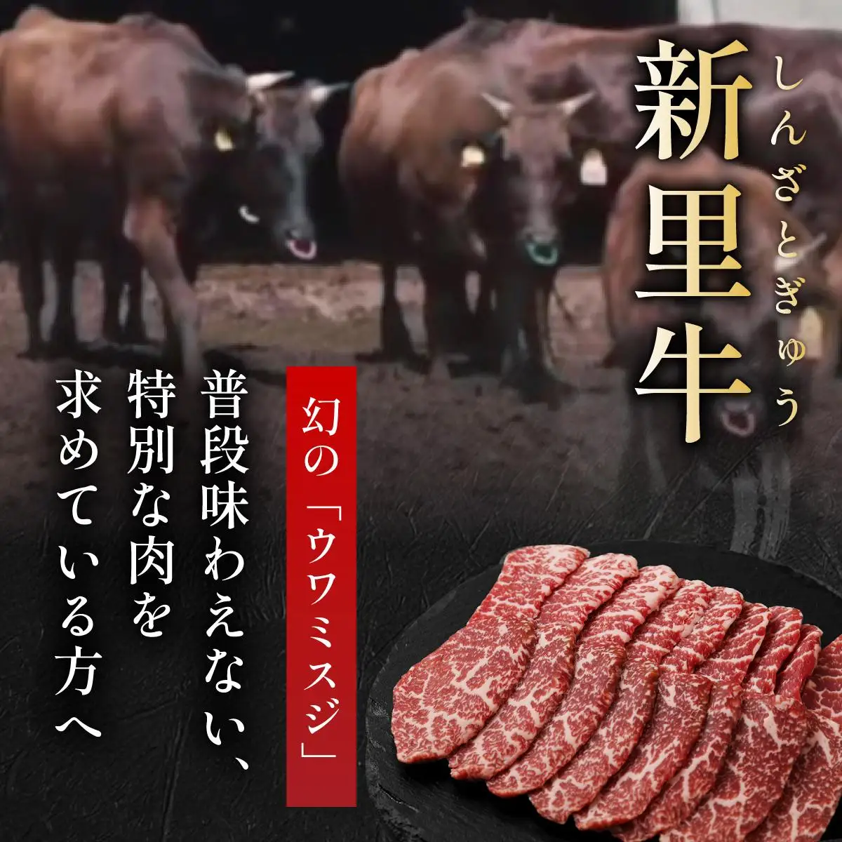 新里牛 赤身焼肉 ウワミスジ 200g×2