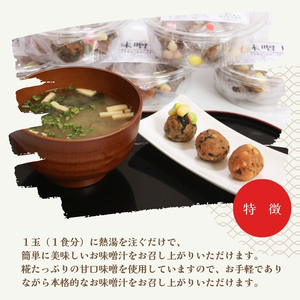 手軽に本格お味噌汁！「生味噌玉」詰合せ  12食入り（6食×2パック）お試し 味噌 みそ 味噌汁