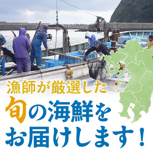 S059-025_海鮮バーベキューセット(2人前)
