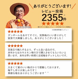 南高梅 約3kg (＋補償100g) 【秀品】完熟 2L以上 カキエモン農園【BX-kkem015】