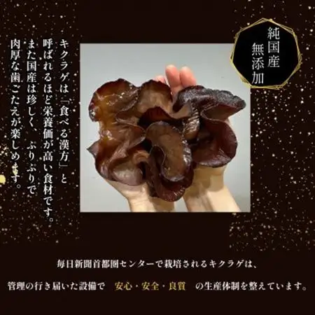 彩のきくらげ　乾燥きくらげ50g　埼玉県産【1692950】