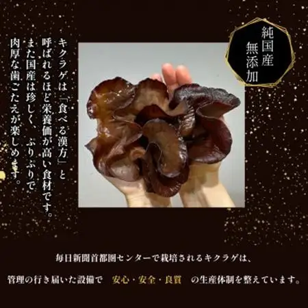 彩のきくらげ　乾燥きくらげ100g　埼玉県産【1692951】