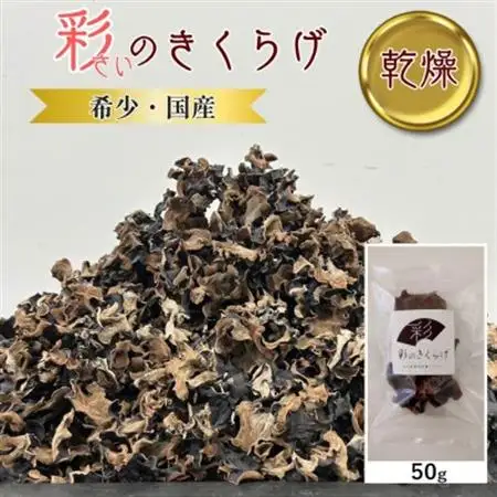 彩のきくらげ　生きくらげ500g　乾燥きくらげ50g　セット　埼玉県産【配送不可地域：離島】【1692953】