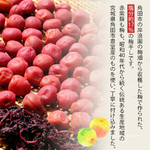 角田市 岸浪園　梅干し 170g×8パック 限定400個