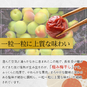 角田市 岸浪園 極み梅干し 塩分約17％ 100ｇ×12パック 限定100個