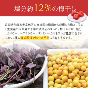 角田市 岸浪園 梅干し しそとうめ 低塩約12％ 170ｇ 4パック入り 限定200個