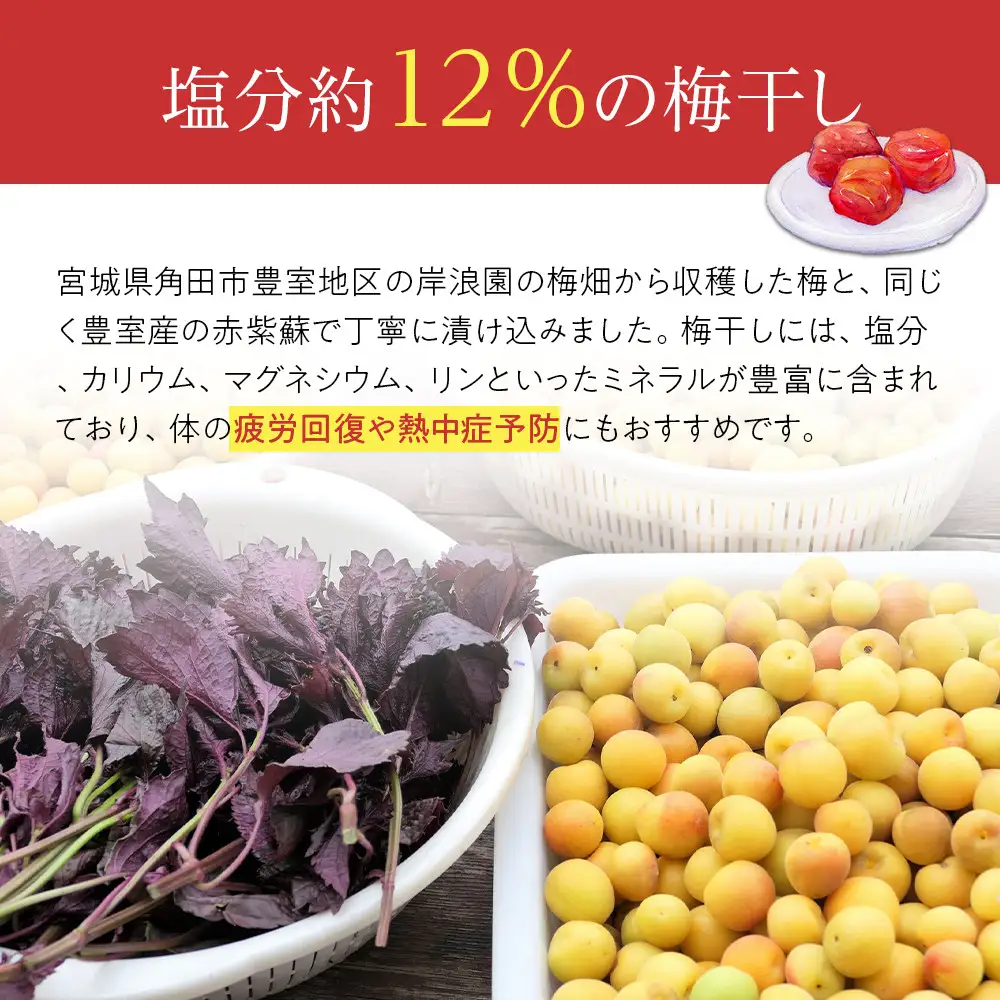角田市 岸浪園 梅干し しそとうめ 低塩約12％ 100ｇ 8パック入り 限定200個