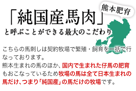 手作りハン馬ーグ 100g×10個 馬肉100%配合！【熊本肥育】ハンバーグ たっぷり 冷凍 お中元 肉 お手軽 お取り寄せ《30日以内に出荷予定(土日祝除く)》｜人気ハンバーグ 大人気返礼品 ブランドハンバーグ 玉東町ハンバーグ 特産ハンバーグ 