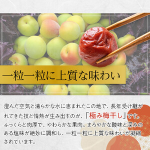 角田市 岸浪園 極み梅干し 塩分約17％ 100ｇ×4パック 限定100個