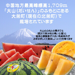 【先行予約】鳥取スイカの食べ比べ！2玉セット（赤肉すいか＆金色羅皇）【西瓜 西瓜 すいか すいか 果物 くだもの フルーツ】