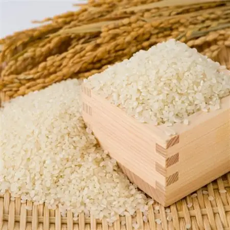 【食味鑑定士厳選】鳥取県産 コシヒカリ10kg(5kg×2袋) 精米【1644303】