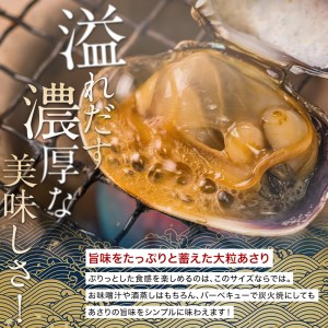 砂出し済 大粒の天然あさり2kg ふるさと納税 貝 F4F-0384