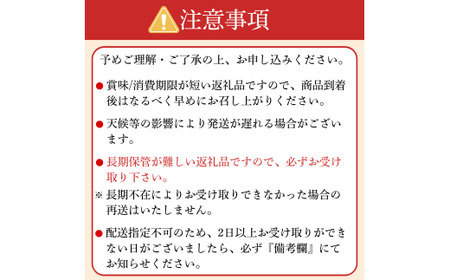 【先行予約】オーガニック サマーグリーンアスパラガス L 1kg アスパラガス