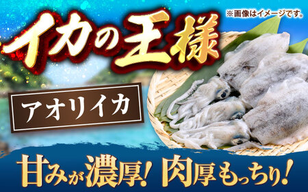 【お中元】アオリイカ 刺身用 500g [JCC023] イカ刺し