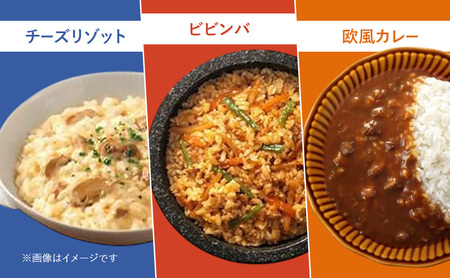 レトルト食品 大塚食品 マイサイズ 100kcal 3種（欧風カレー・チーズリゾットの素・ビビンバの素）×各4個 インスタント 牛肉 スパイス 風味豊 濃厚 コチュジャン 豆板醤 防災 綾瀬市 神奈川県