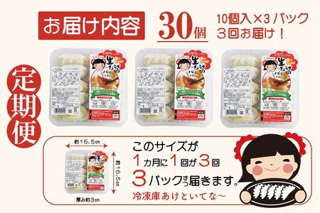 [定期便／年3回 偶数月] ハナちゃん生ぎょうざ 冷凍餃子 計90個 (30個セット×3回) [0268]