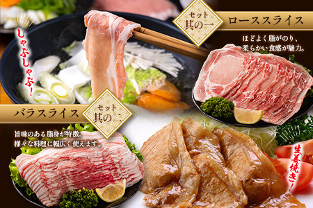 宮崎県産 豚バラエティーセット合計4.1kg※入金翌月中に出荷【C456】