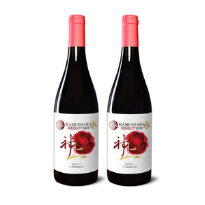 上ノ国ワイナリーの赤ワイン「上の赤メルロー2023」　750ml×2本　北海道ワイン　赤ワイン　家飲み　パーティー　贈り物　プレゼント　果実酒