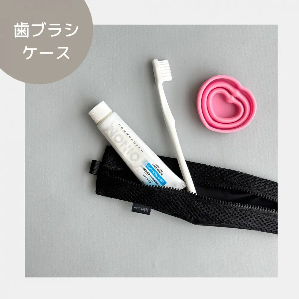 【黒】洗えて清潔！メッシュ×ナイロンのハブラシポーチ