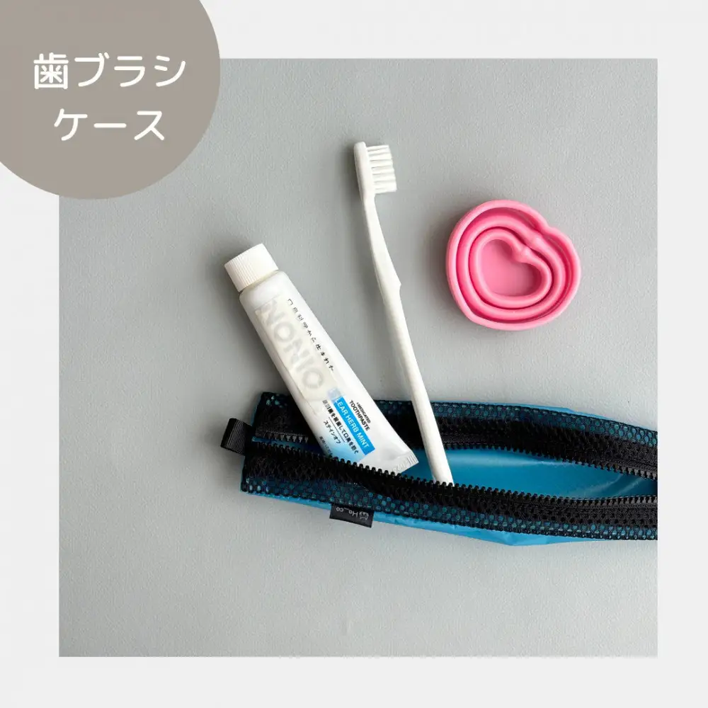 【水色】洗えて清潔！メッシュ×ナイロンのハブラシポーチ