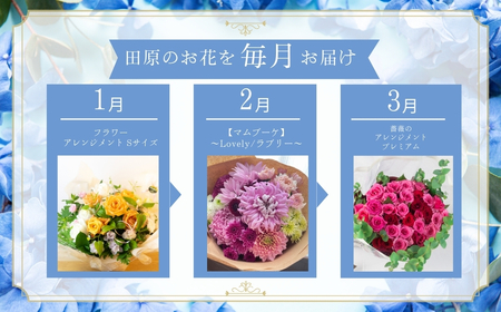 日常にお花がある暮らし タハナ 12回 定期便 フラワーアレンジメント 花 お花 花束 ブーケ 季節 ギフト お祝い 誕生日 記念日 ギフト プレゼント インテリア お洒落 マム カラーマム 愛知県 田原市 バラ ばら 薔薇 花束 花 愛知県 田原市 フラワー 観葉植物