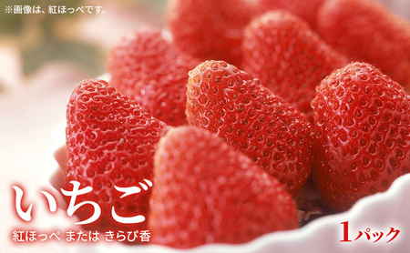 【2027年2月発送】 旬のフルーツ詰合せ いちご＆せとか 紅ほっぺまたはきらび香 約260g1パック せとか4個約800ｇ 柑橘の最高峰 苺 ミカン 蜜柑 【配送不可：離島】 フルーツセット 静岡 浜松市
