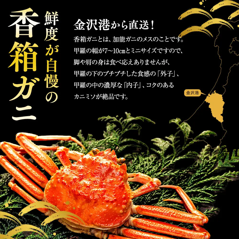 【訳あり】 金沢港より直送！ ボイル 香箱ガニ 8杯セット 釜茹で 冷蔵 先行予約 2026年発送