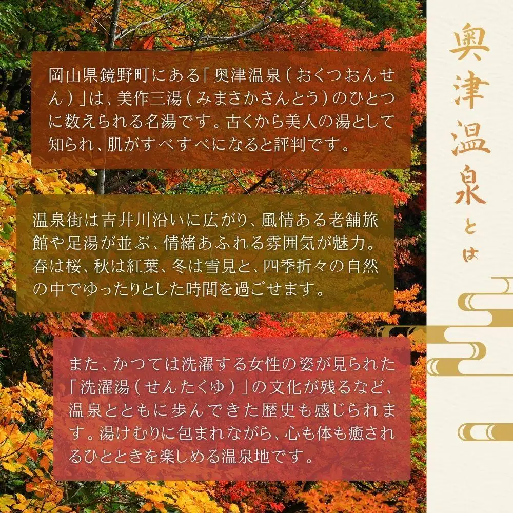 奥津温泉「花美人の里」日帰り入浴券（5回分）051-a001
