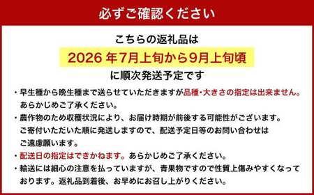 岡山 白桃 2種 2玉 （ ロイヤル ） 500g （ 計 1kg ） 【 2026年7月上旬から9月上旬頃発送予定 】 ／ 果物 くだもの フルーツ もも 桃 甘い 香り 柔らかい ジューシー 美味しい 岡山県 美咲町