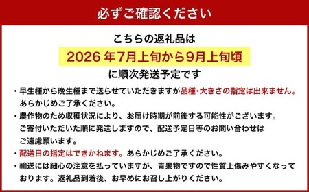 【 ご 家庭 用 】 岡山 白桃 2種 6玉 1.5kg 【 2026年7月上旬から8月下旬頃発送予定 】 ／ 果物 くだもの フルーツ もも 桃 甘い 香り 柔らかい ジューシー 美味しい 岡山県 美咲町