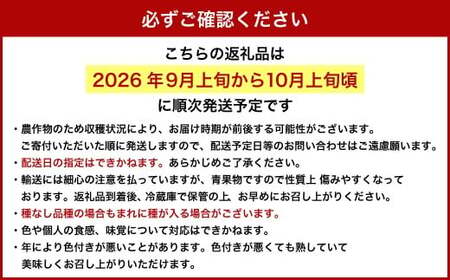 【ご 家庭 用 】 オーロラブラック 2～3房 1.2kg 【 2026年9月上旬から10月上旬頃発送予定 】 ／ 果物 くだもの フルーツ ぶどう ブドウ 葡萄 大粒 甘味が強い 甘い 果汁 食べ応え 岡山県 美咲町
