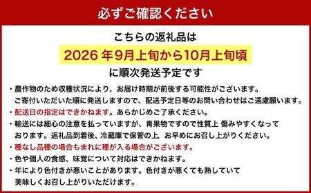 【ご 家庭用 】 シャイン ＆ オーロラ 1.2キロ 【 2026年9月上旬から10月上旬頃発送予定 】 ／ 果物 くだもの フルーツ ぶどう ブドウ 葡萄 シャインマスカット 食べ比べ セット 大粒 甘味が強い 甘い 果汁 食べ応え 岡山県 美咲町