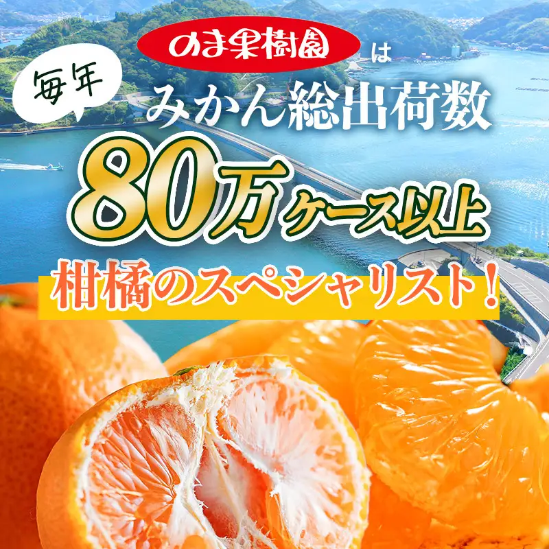 【先行予約】愛媛みかんバラ詰め（1.5kg）