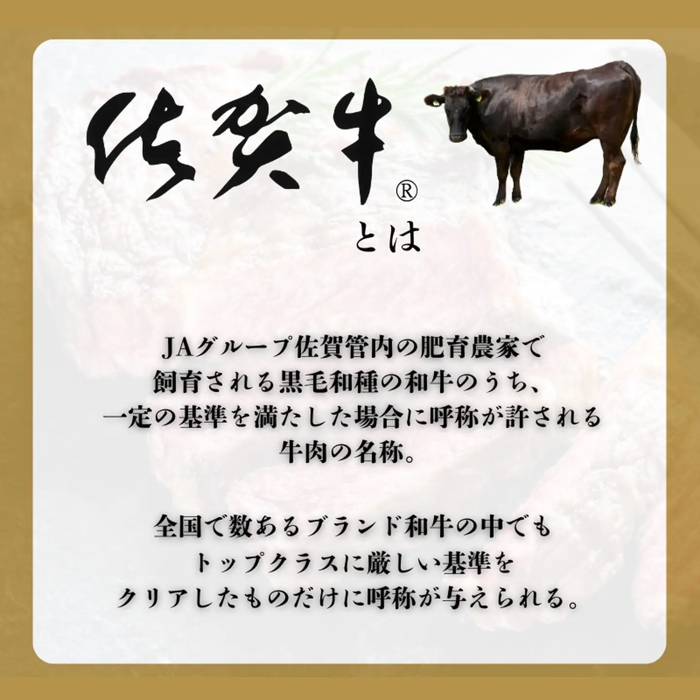 佐賀牛ヒレシャトーブリアンブロック 2kg（500g×4本）ヒレ シャトーブリアン：C400-026