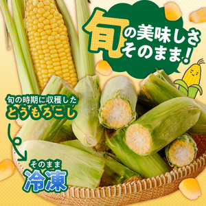 冷凍便！旬の時期に冷凍したSDGs米糠堆肥で作った博多あまっコーンカット品 4.5キロ以上（12～20本） _ 博多あまっコーン カット 4.5キロ以上 12 ～ 20本 カット品 とうもろこし 国産 冷凍 メロンより甘い プレミアムコーン ふくおかエコ農産物 コーン フルーツのような甘さ 野菜 酒見農産 お取り寄せ 福岡県 久留米市 送料無料  〔Gv051〕