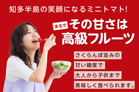 【先行予約】有機栽培ミニトマト　知多アモーレトマト　約500g