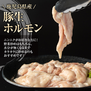 【A79015】＜定期便・全3回＞豚生ホルモンにんにく醤油味付(計2.64kg・220g×4P×3回) 鹿児島 豚肉 ホルモン 生ホルモン にんにく 醤油 おかず 加工品 味付け おつまみ 小分け パック 冷凍 冷凍食品 お弁当【肉のふくおか】