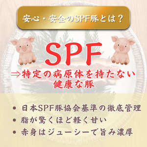 【チャーシュー専門店ミートポーク山水】生ベーコン【完全無添加】切落し 約75g ／ SPF SPF豚 SPF豚肉 林SPF 豚肉 豚バラ 生ベーコン ベーコン 切落し 無添加