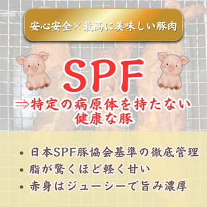 【チャーシュー専門店ミートポーク山水】ポークジャーキー（ペッパー&チーズ）約400g ／ SPF SPF豚 SPF豚肉 林SPF 豚肉 肩ロース ジャーキー 干し肉