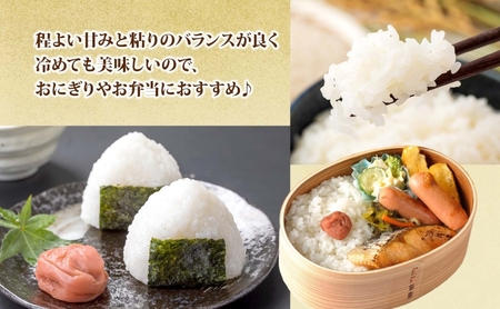 無地熨斗 北海道 R7年産 北海道産 ゆめぴりか 5kg 精米 米 白米 ごはん お米 特A 5キロ 北海道米 ご飯 お取り寄せ 送料無料 令和7年産