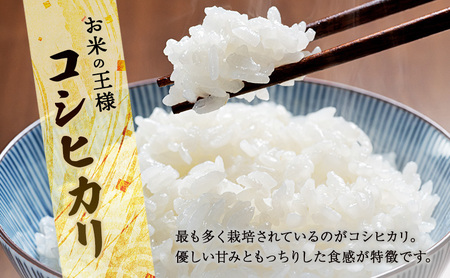 コシヒカリ 5kg 精米　お米 白米 ライス ご飯 ブランド米 銘柄米 主食 お弁当 おにぎり 群馬県 東吾妻町
