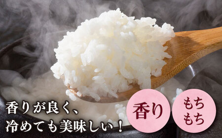 【令和7年産】果物屋さんが選んだ米 夢つくし 10kg 米 白米 お米 ブランド米[ABET009]