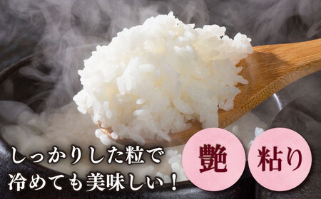 【令和7年産】果物屋さんが選んだ米 元気つくし 10kg 米 白米 お米 ブランド米[ABET011]