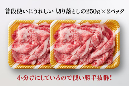 艶さし!【A4～A5】佐賀牛大判霜降り贅沢切り落とし 500g(250g×2P)(H112340)