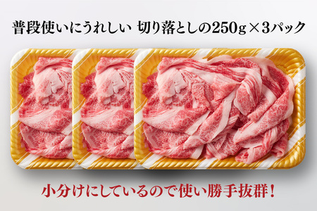 艶さし!【A4～A5】佐賀牛大判霜降り贅沢切り落とし 750g(250g×3P)(H112341)