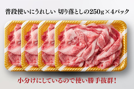 艶さし!【A4～A5】佐賀牛大判霜降り贅沢切り落とし 1kg(250g×4P)(H112342)