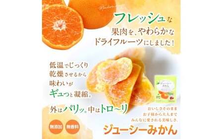 ドライフルーツ5袋セット みかんのみ ※１ケ月以内に順次発送 / 和歌山県 紀美野町 フルーツ 果物 スイーツ おつまみ 全国配送 手土産 ギフト プレゼント お土産 ジューシー ミカン【kmf016】